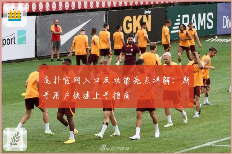 虎扑官网入口及功能亮点详解：新手用户快速上手指南